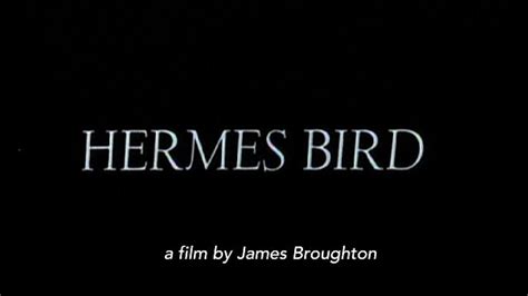 hermes bird short film|Hermes Bird (1979) Stream and Watch Online .